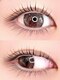 ニュアーズネイル(nuas nail)の写真/《垢抜けの近道は目元のお手入れ》根本を立ち上げる”パリジェンヌラッシュリフト”で貴方の理想の目元に♪