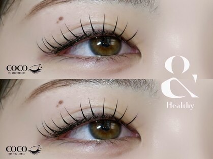 ココ(coco)の写真