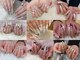ピンクドールハウス 掛川店(Pink Doll House)の写真/《ケア重視でモチ◎》自由自在な長さだし！高い再現性でこだわりの美フォルム×理想のデザインを叶えます!!