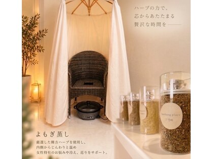 celeria【セレリア】 【11月中旬 NEW OPEN(予定)】の写真