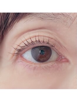 イチル(ichill)/立ち上げデザイン