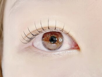 ミーム(meme)/ラッシュリフト(コーティング付)