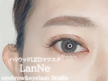 ラッシュラッシュ 高田馬場(LashRush)/ハリウッドLED 6D &nbsp;240本