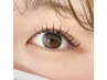 【学割U24対応】フラットラッシュ[上]60本￥2900！
