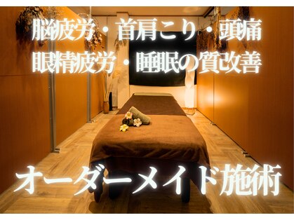 ビビ(bibi)の写真
