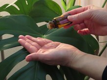 ハナコ(Hanako)/＊眠りのアロマ＊ラベンダー＊