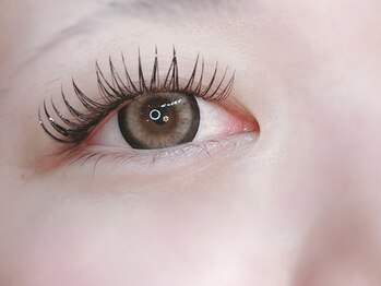 ライクアルー(like a lu)/形状記憶マツエク120束