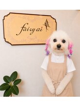 フェアリーアイ(Fairy ai)&nbsp;Fairy ai 