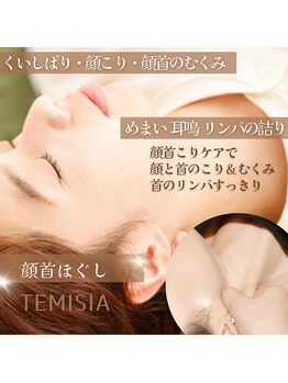 テミシア(TEMISIA)/くいしばりこり、耳のつまり