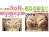 【５月平日限定】《20～50代の女性に大人気！》育乳バストアップ¥2980