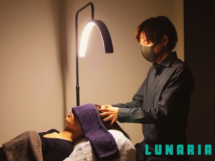 ルナ(Lunaria)の写真