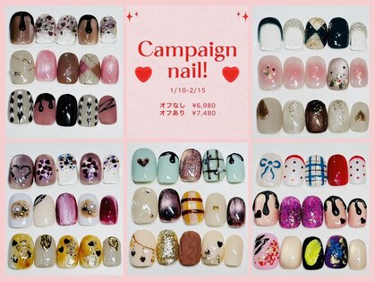 リリー(Lily)の写真