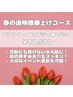 春の透明感爆上げコース　￥17,500