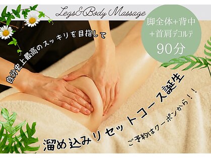とまりぎの写真