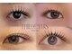 ミルリス(millelys)の写真