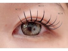 カクテル(COCKTAIL)/フラットラッシュ120本