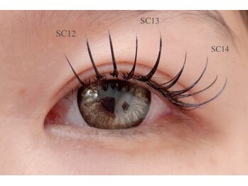 カクテル(COCKTAIL)/フラットラッシュ120本