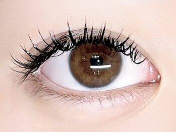 パキラ(Pachira)/盛りまつ毛★MAXボリューム