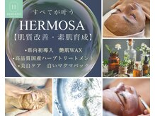 エルモーサ(HERMOSA)