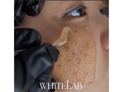 ボルベール(volver)の写真