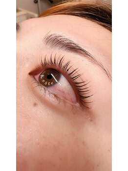 ケステ(Keste)/シンプリフィ　ラッシュリフト