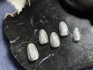 6月定額デザイン