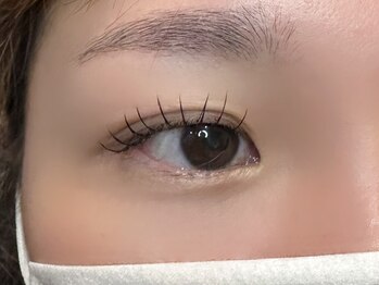 フリー#240(Free#240)/ラッシュリフトカール100本