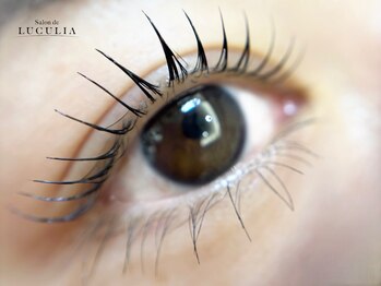 サロンドルクリア(Salon de LUCULIA)の写真/【パリジェンヌラッシュリフト¥6,600】上向きナチュラルeyeで褒められ目元に☆アイブロウやエクステとも◎