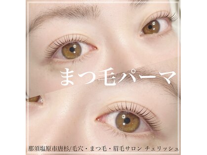 チェリッシュ(Cherish)の写真