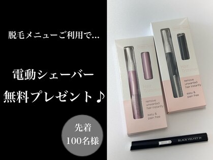 ブラックベルベット 24(BLACK VELVET 24)の写真