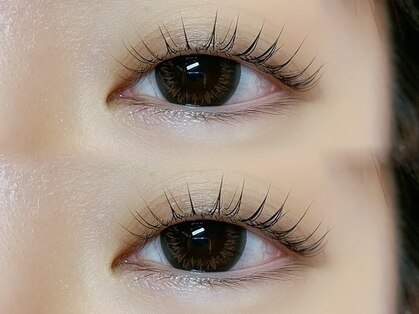髪化粧アイラッシュ(髪化粧eyelash)の写真
