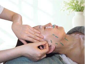 サルビア(SALVIA)の写真/【持続する美しさを求める方へ】若々しい見た目へ◎美容鍼灸×フェイシャルエステでキレイをリスタート♪