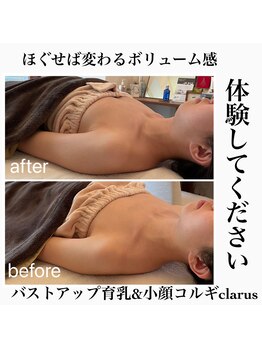 クラルス(clarus)/背中をほぐしバストにお肉を戻す