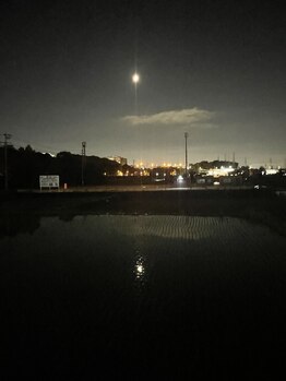 チェッコリ(CHECCOLY)/