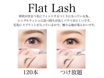 ビューティーサロン ココ 岐阜店(Beauty Salon COCO)/フラットラッシュ/マツエク