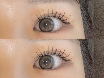 シピ ラメゾン 柏(Chipie La Maison)/パリエク100本☆