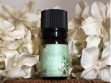 サンフラワー(SUNFLOWER)/ARTQプライドネロリ2025