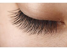 ブルームジュエル(Bloom Jewel)/上下240本まで自由に割振り☆