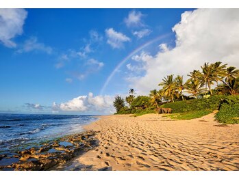 ハワイアンフォレストSpa 福岡天神店/サンセットビーチ