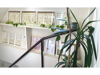 アイバランス(i-BALANCE)/店内植物16