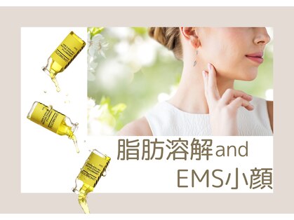 美成(vise)の写真