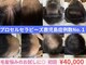 フェリス(FELIZ)の写真