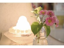 ドクター ヴィーナス/