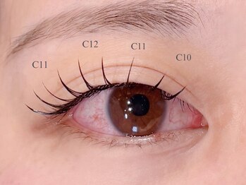 カクテル(COCKTAIL)/フラットラッシュ120本