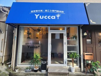 ユッカ(Yucca)/