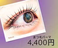 アヴァンサル(avanzar)
