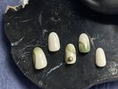 6月定額デザイン