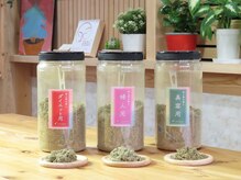 ヒロ(Hilo)/あなたのペースで