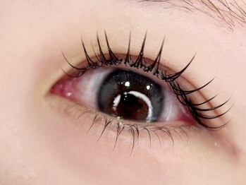 ナイン(NINE)/アンドヘルシー