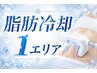7/31まで残り3名|気になる1部位を集中ケア☆脂肪冷却1エリア¥13,200→¥8,800